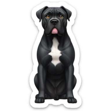 Black Cane Corso with a white spot sticker