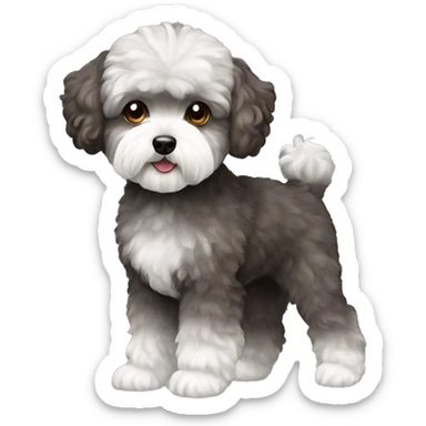 Dog maltipoo dark grey and dark brown fur full body standing sticker