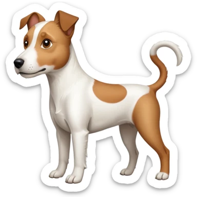 a full body large white parson russell terrier looking dog the size of a kelpie with light brown big ears and a light brown patch on one eye and a large snout sticker
