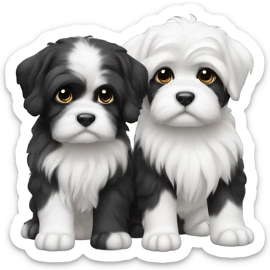Two black and white lhasa puppies sticker