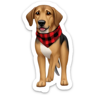 adult 75% Coonhound 25% German Shepherd mix dog wearing small pointed red buffalo plaid bandana full body walking left with leash sticker