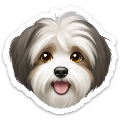Havanese sticker