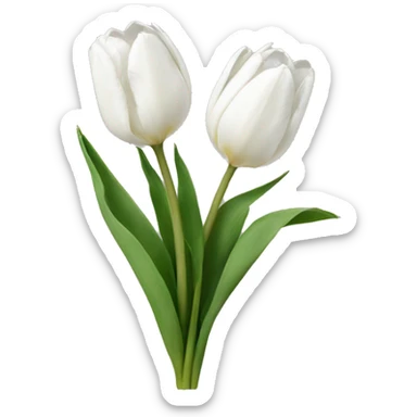 white tulips sticker