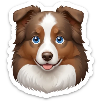 Australian shepherd with blue eyes  sticker