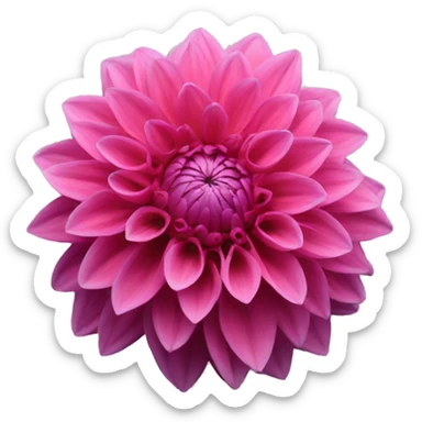 Dahlia flowers sticker