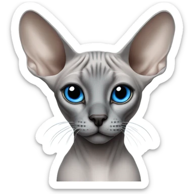 Sphinx cat , grey with a blach nose and blue eyes sticker