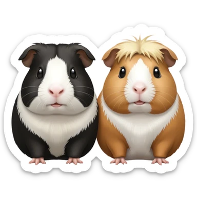 Two guinea pigs. One is black and white. The other is blonde and white. sticker