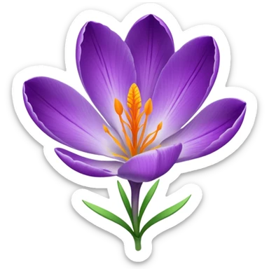 saffron crocus flower, side view, green stem, purple petals sticker