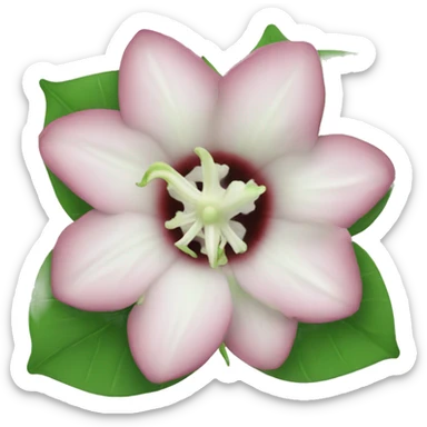 Moonflower sticker