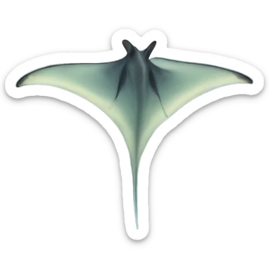 RAY manta sticker