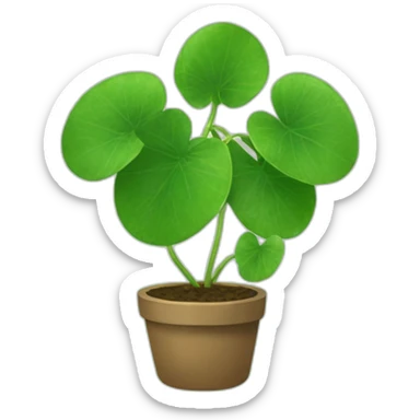 Pilea sticker