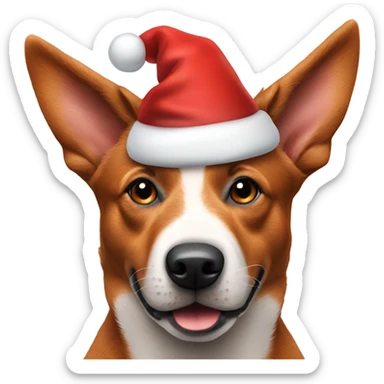 Red Australian cattle dog wearing a Santa hat  sticker