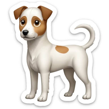 a full body large white parson russell looking dog the size of a kelpie with light brown flapped down ears and a light brown patch on one eye and a large snout sticker