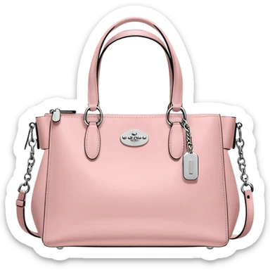 coach bag color pink sticker