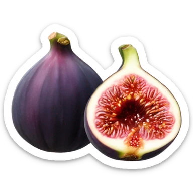 fig the fruit sticker