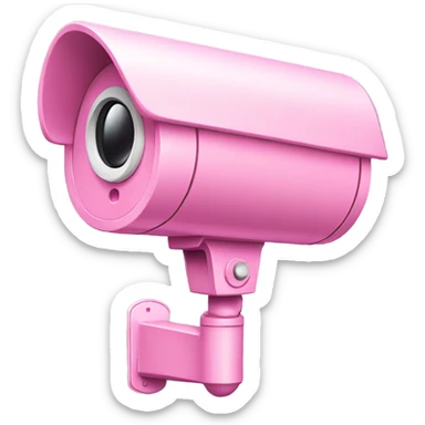 Pink security camera sticker