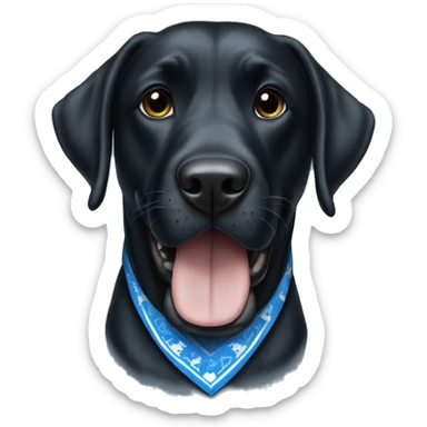 Large Black Lab dog in a Detroit Lions bandana  sticker