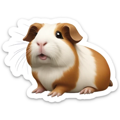 Guinea pig wearing a holy cross sticker