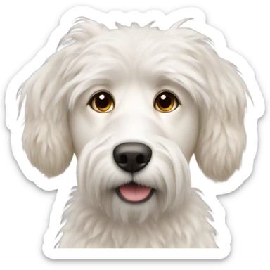 a white dog, messy white hair, light brown eyes, it's a patou mixed sticker
