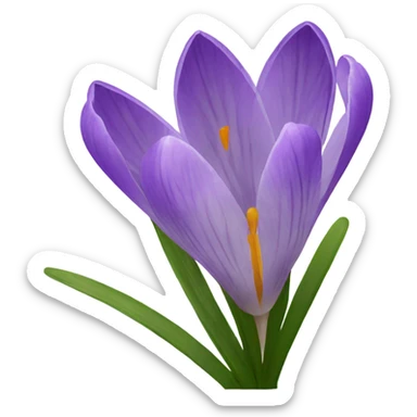 Crocus sticker