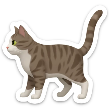 Котика sticker