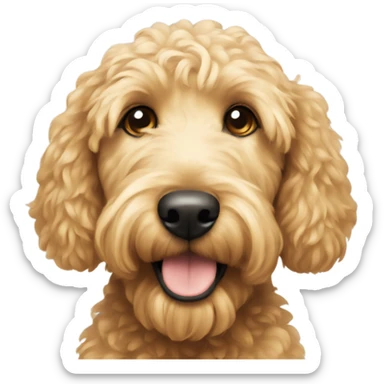 A cute golden doodle  sticker