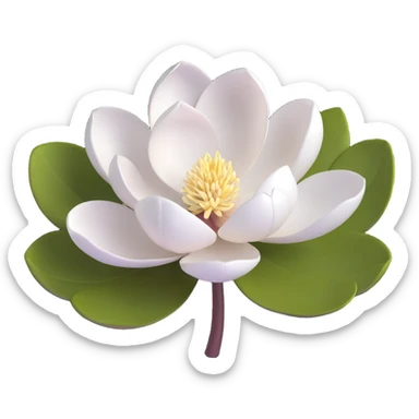 3D icon of a single magnolia flower, pure white petals, subtle shadows, minimal background sticker