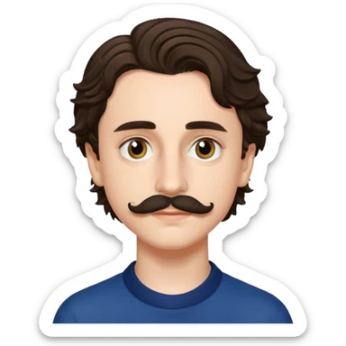 timothee with stache sticker