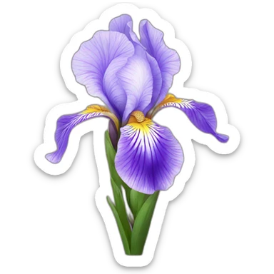 Iris flower sticker