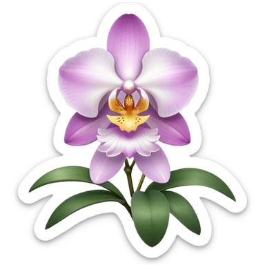 Orchidea sticker
