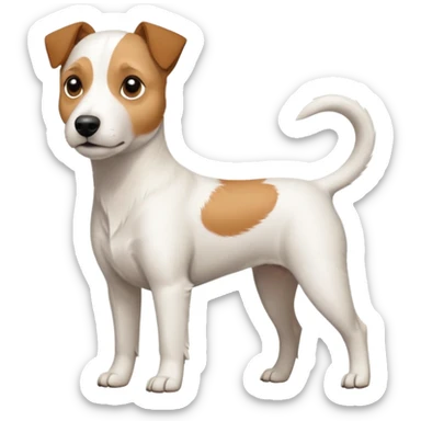 a full body slightly chubby white parson russell terrier looking dog the size of a kelpie with light brown long ears and a light brown patch on one eye and a large snout sticker