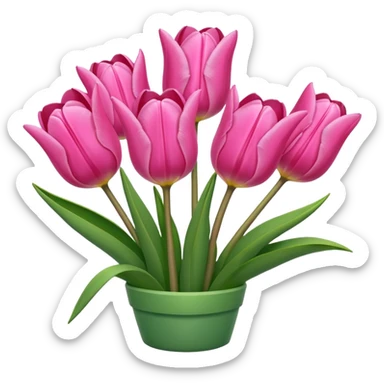 Pink tulips sticker