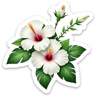 bouquet white Hawaiian hibiscus, luxuriant, stem, leaf, bud sticker