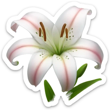 Lily flower sticker