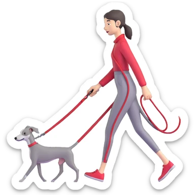 Beautiful Asian girl walking a completely solid grey Italian greyhound with a grey nose on a simple red leash, no white markings anywhere, pure grey dog sticker