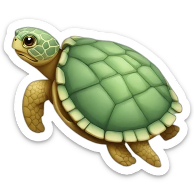 tortue terrestre grecque sticker