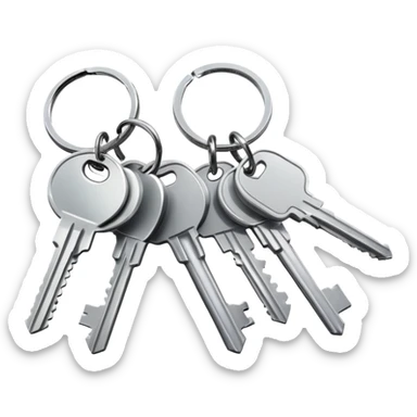 a set of keys on a keyring sticker