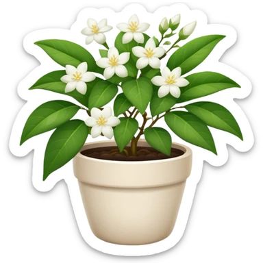 jasmine plant in pot sticker