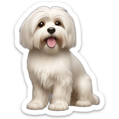 Dog havanese full height sticker
