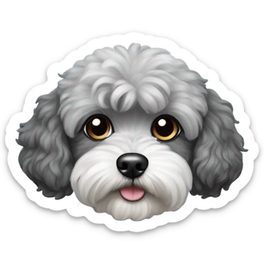Black and grey Maltipoo dog  sticker
