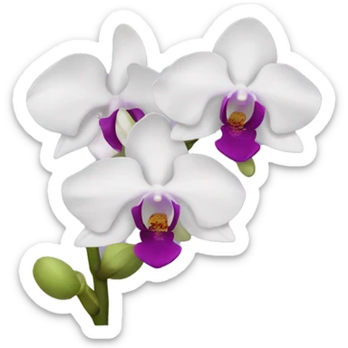 Orchid sticker