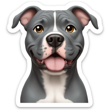 Blue fawn pitbull sticker