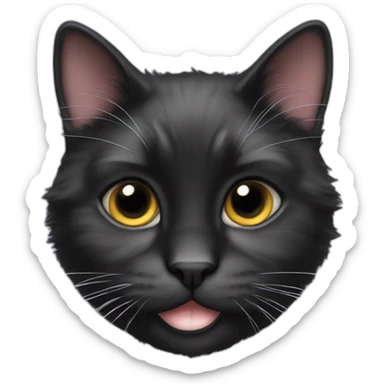 Fluffy black cat with a white chin sticker