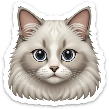 ragdoll cat with moe on right side nose sticker