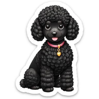 elegant black french poodle with curly fur sticker
