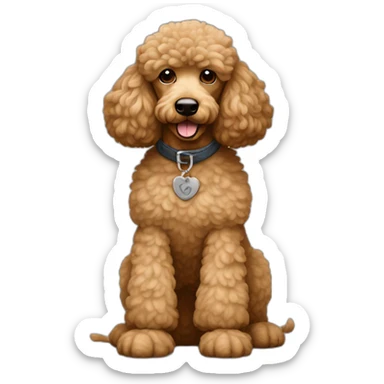 Light brown poodle seated and wearing a t-shirt of Eddie Vedder face printed sticker