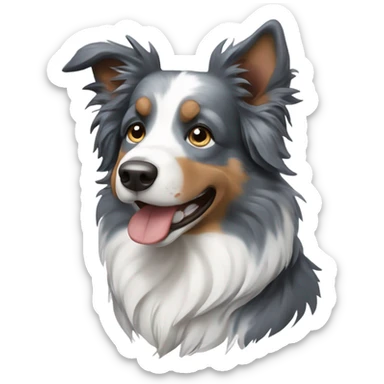 Blue merle border collie sticker