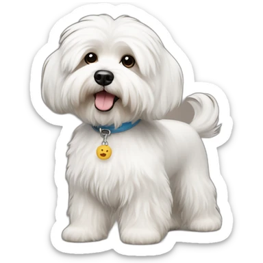 Bichon Havanese dog sticker