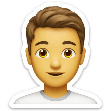 a white 13 year old with a brown with yellow highlight middle part boy sticker