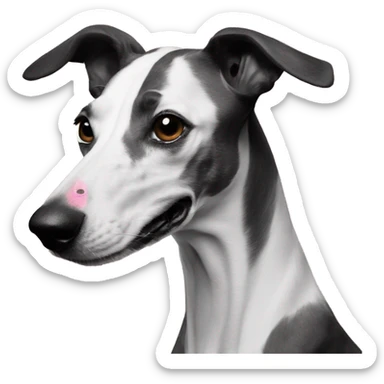 Dog galgo black and white and a pink noise sticker